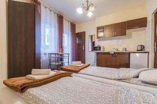 Апартаменты Euro-Room Rooms & Apartments Краков Номер-студио (для 2 взрослых)-9